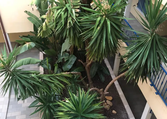 公寓 4-6 Couchages Vue Et Port De Corse *