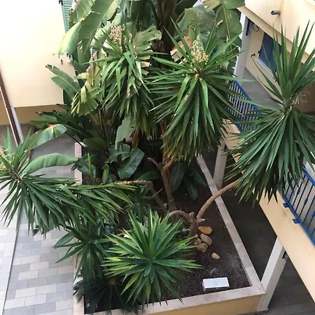 아파트 4-6 Couchages Vue Et Port De Corse *